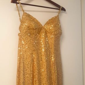 Formal / Maid of Honour Dress